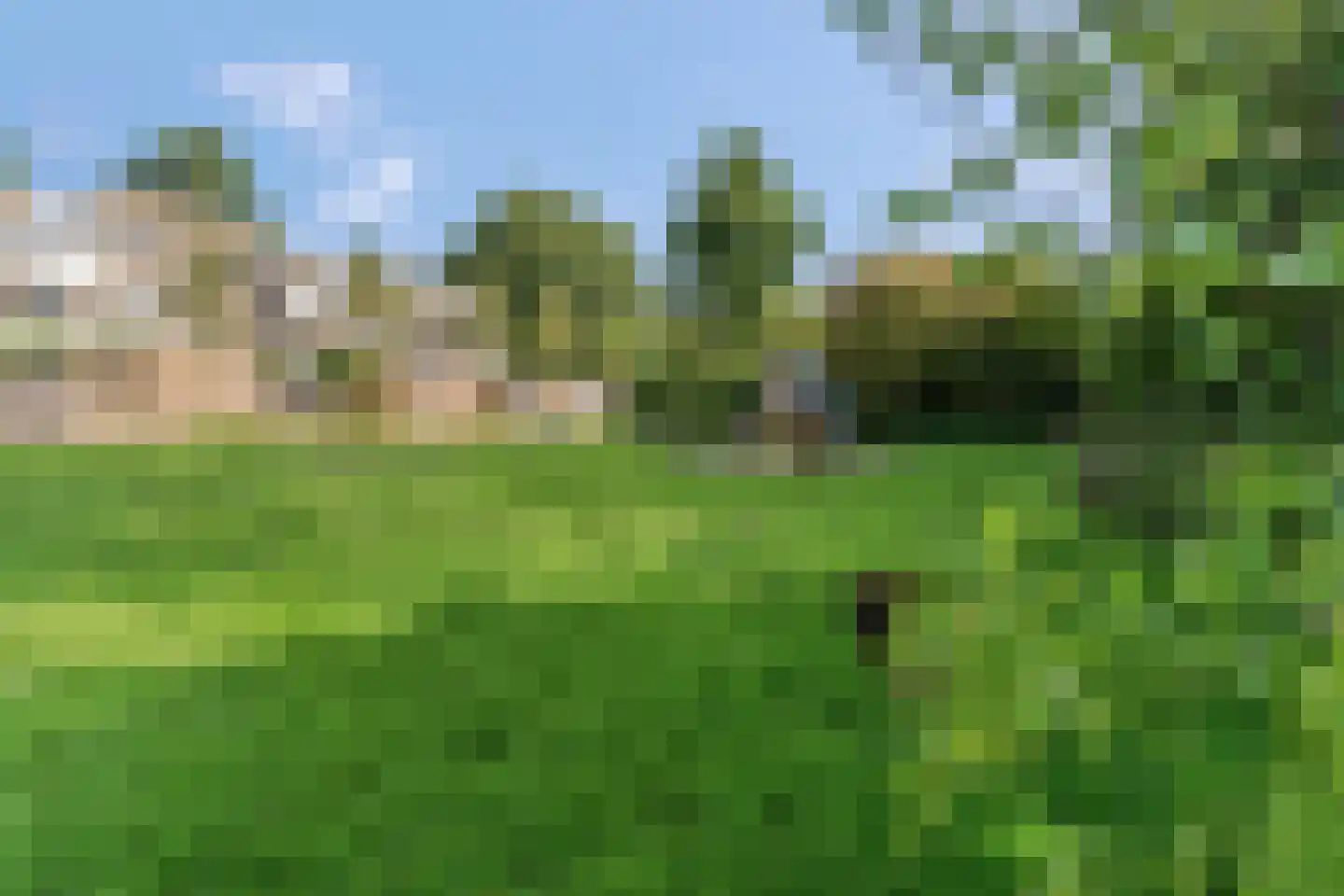 Sterappelgaard 160 Arnhem thumbnail 5