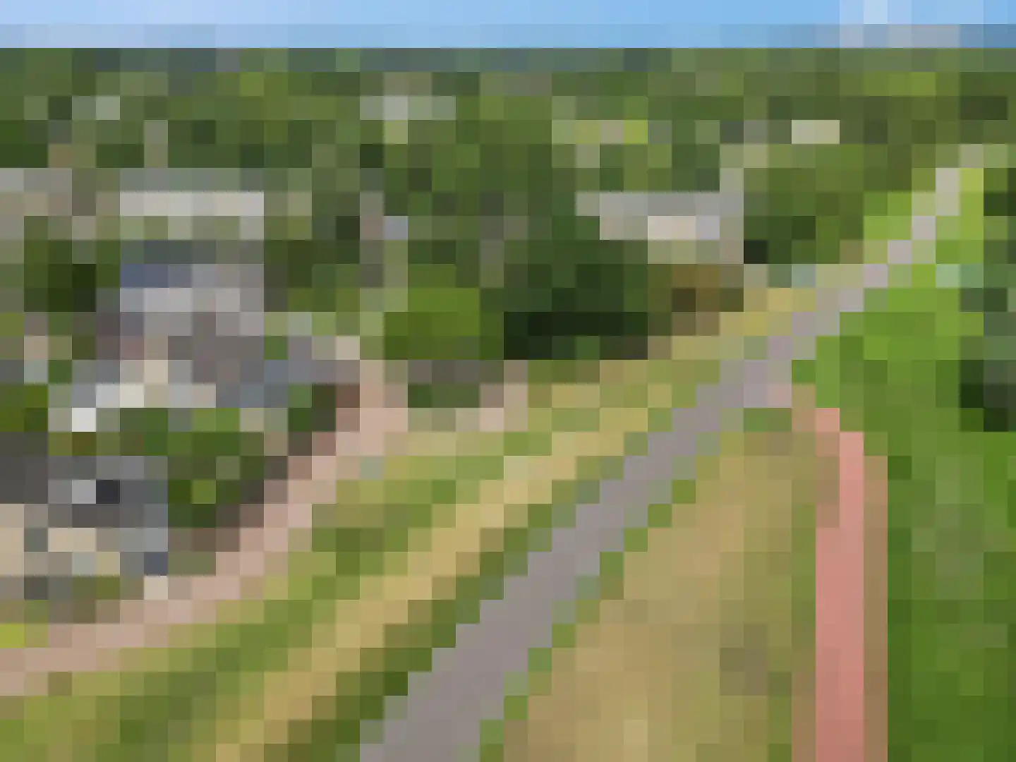 Sterappelgaard 160 Arnhem thumbnail 7