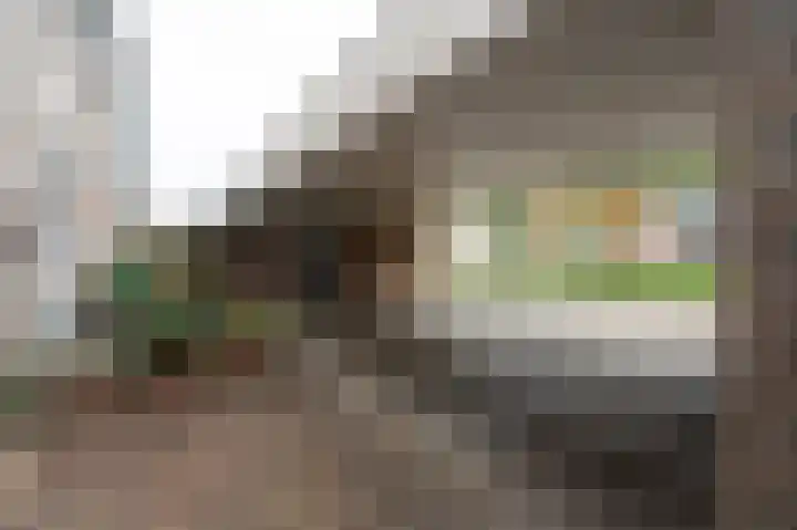 Sterappelgaard 206 Arnhem thumbnail 15