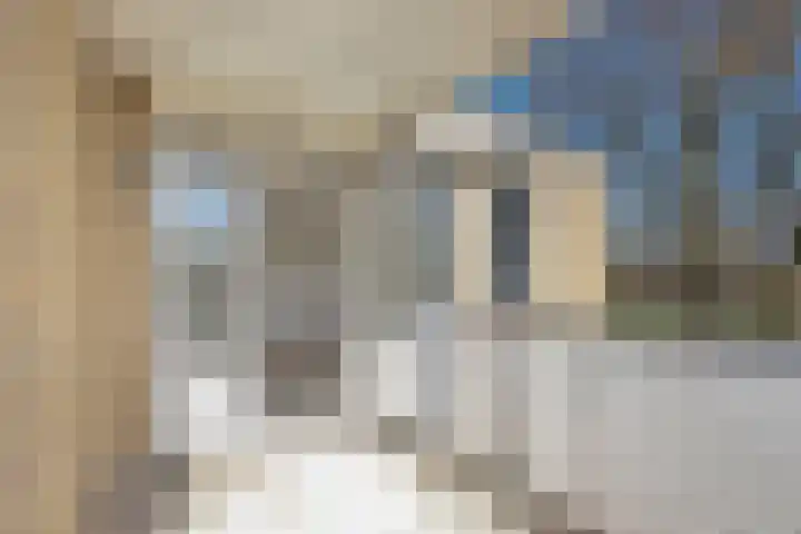 Sterappelgaard 206 Arnhem thumbnail 15