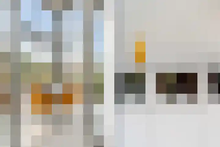 Sterappelhof 30 Zoetermeer thumbnail 15
