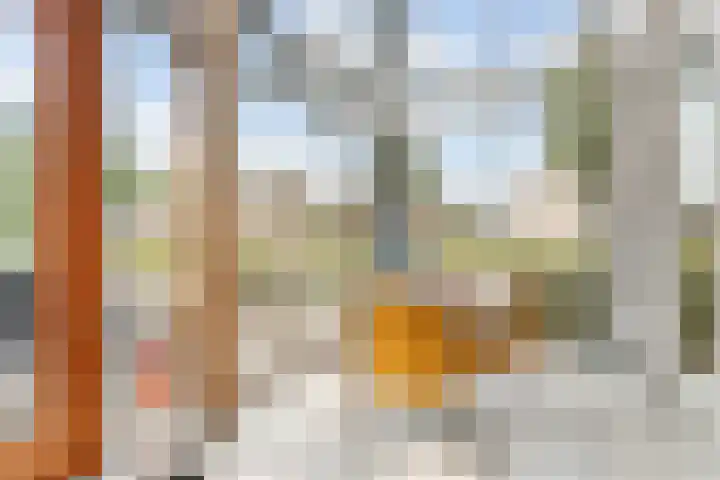 Sterappelhof 30 Zoetermeer thumbnail 17