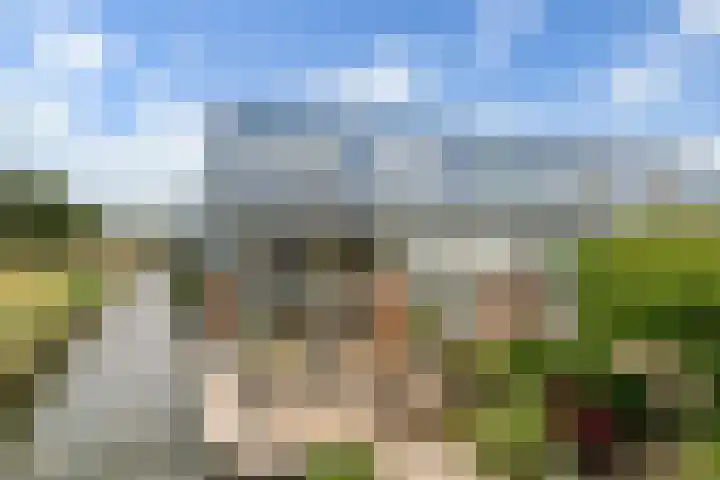Sterappelhof 30 Zoetermeer thumbnail 24