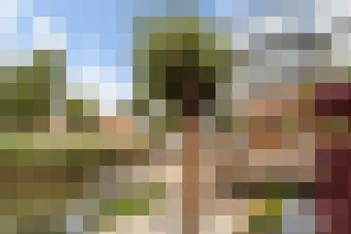 Sterappelhof 30 Zoetermeer thumbnail 25