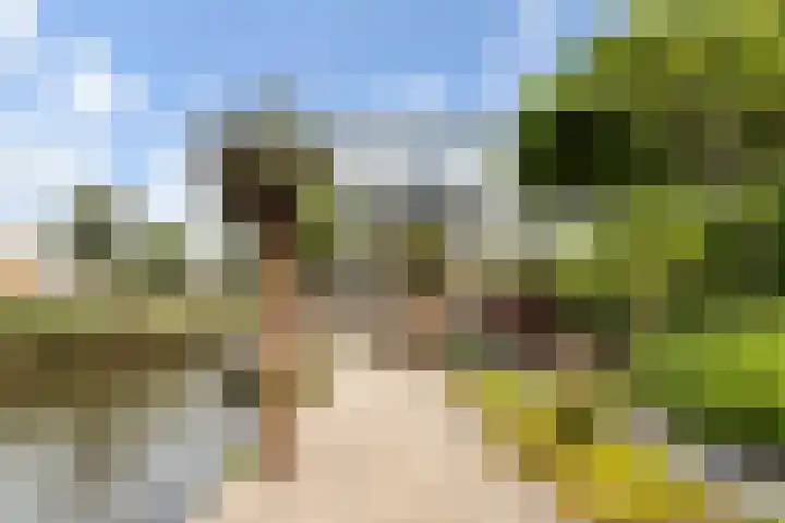 Sterappelhof 30 Zoetermeer thumbnail 26
