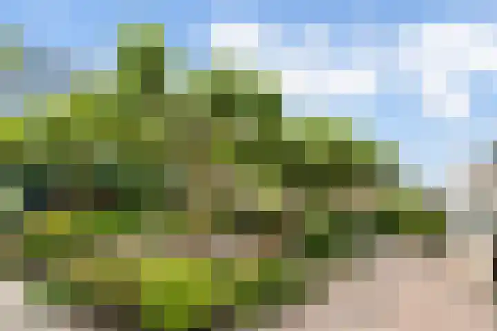 Sterappelhof 30 Zoetermeer thumbnail 27