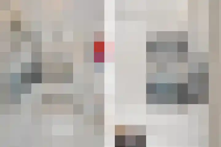 Sterappelhof 30 Zoetermeer thumbnail 35