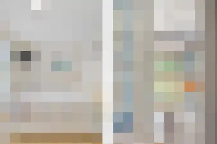 Sterappelhof 30 Zoetermeer thumbnail 44