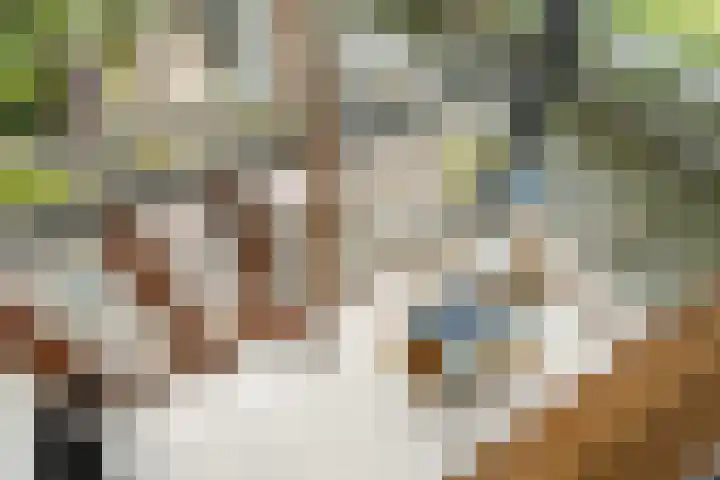 Sterappelhof 30 Zoetermeer thumbnail 49
