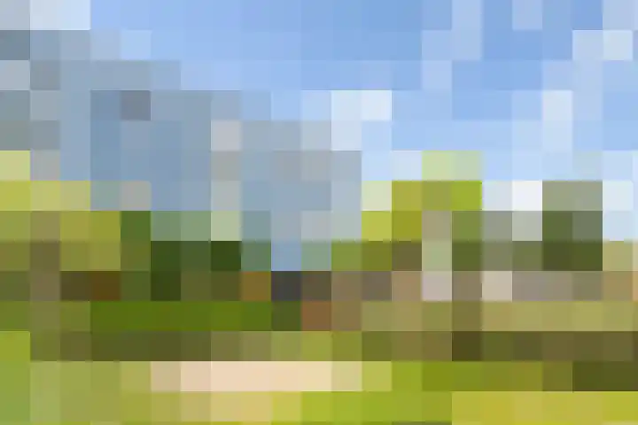 Sterappelhof 30 Zoetermeer thumbnail 5