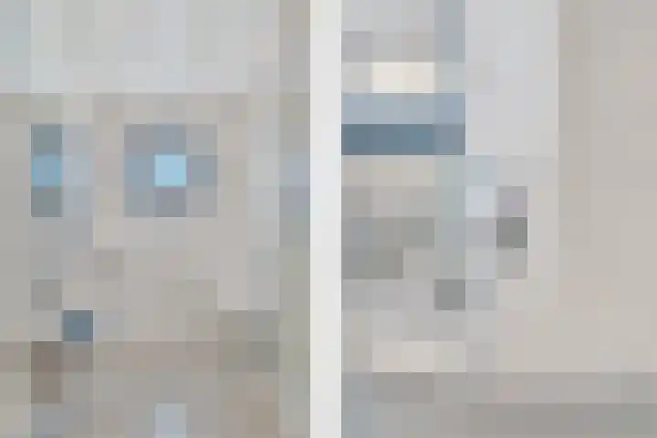 Sterappelhof 30 Zoetermeer thumbnail 51