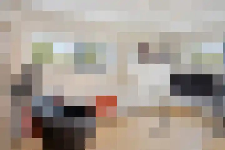 Sterappelhof 30 Zoetermeer thumbnail 53