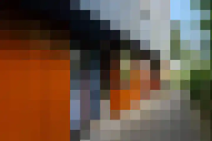 Sterappelhof 38 in Zoetermeer