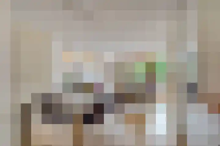 Sterappelhof 38 Zoetermeer thumbnail 11