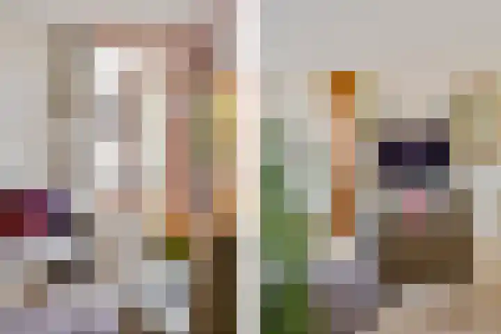 Sterappelhof 38 Zoetermeer thumbnail 18