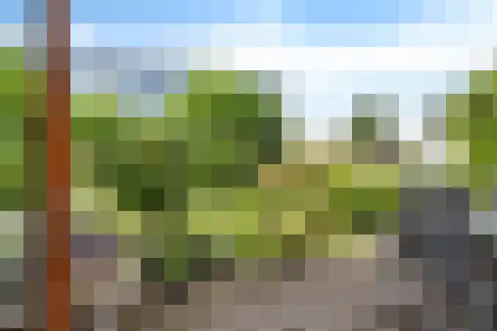 Sterappelhof 38 Zoetermeer thumbnail 21
