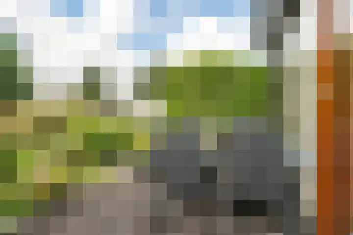 Sterappelhof 38 Zoetermeer thumbnail 22