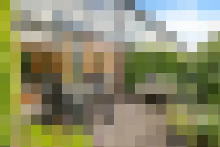 Sterappelhof 38 Zoetermeer thumbnail 23