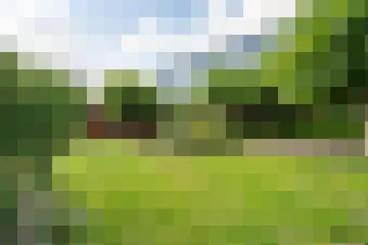 Sterappelhof 38 Zoetermeer thumbnail 24