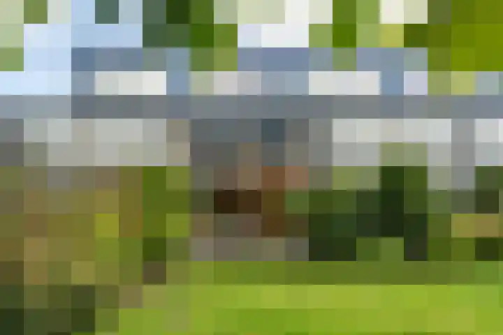 Sterappelhof 38 Zoetermeer thumbnail 25