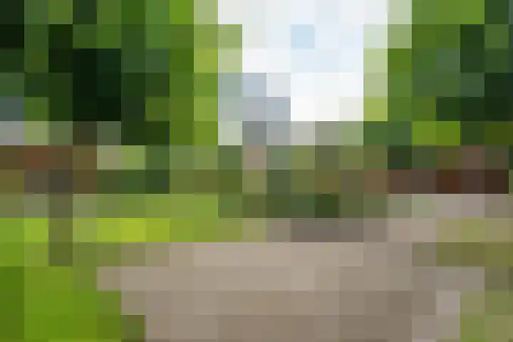 Sterappelhof 38 Zoetermeer thumbnail 26