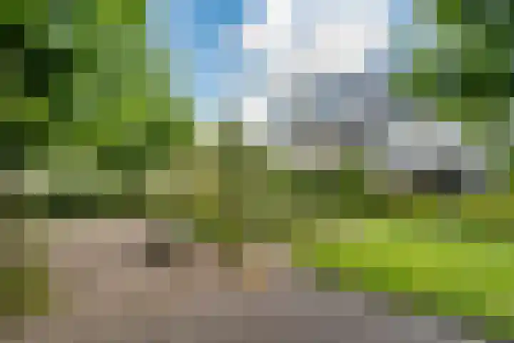 Sterappelhof 38 Zoetermeer thumbnail 28