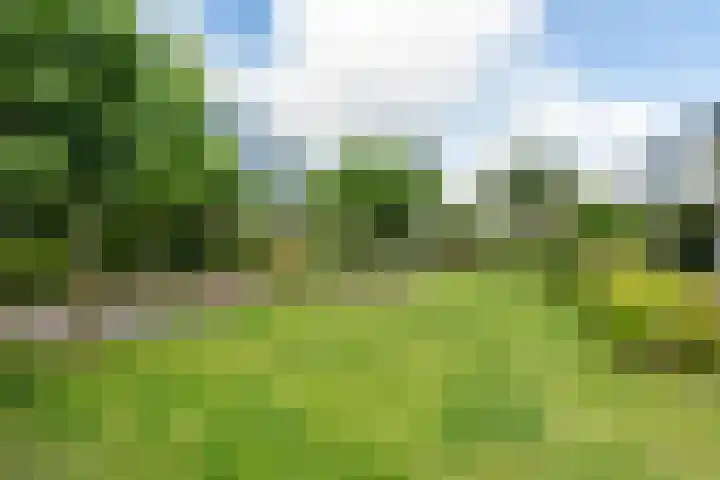 Sterappelhof 38 Zoetermeer thumbnail 29