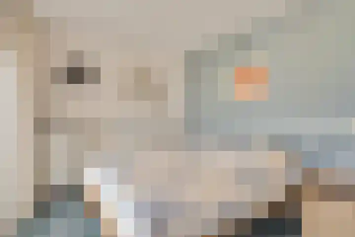 Sterappelhof 38 Zoetermeer thumbnail 32