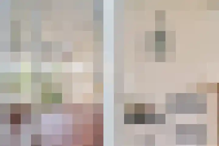 Sterappelhof 38 Zoetermeer thumbnail 34