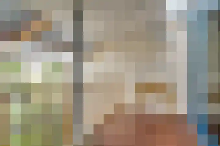Sterappelhof 38 Zoetermeer thumbnail 36