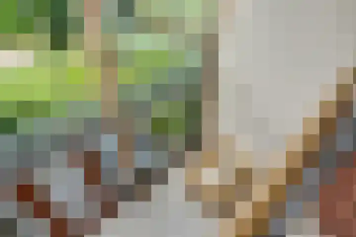 Sterappelhof 38 Zoetermeer thumbnail 37