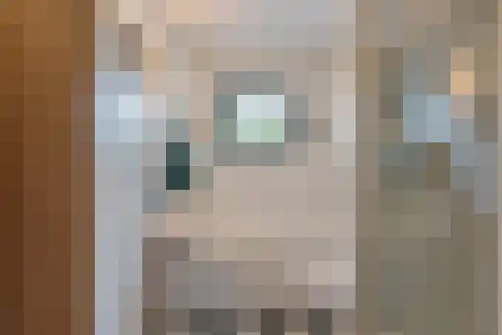 Sterappelhof 38 Zoetermeer thumbnail 41