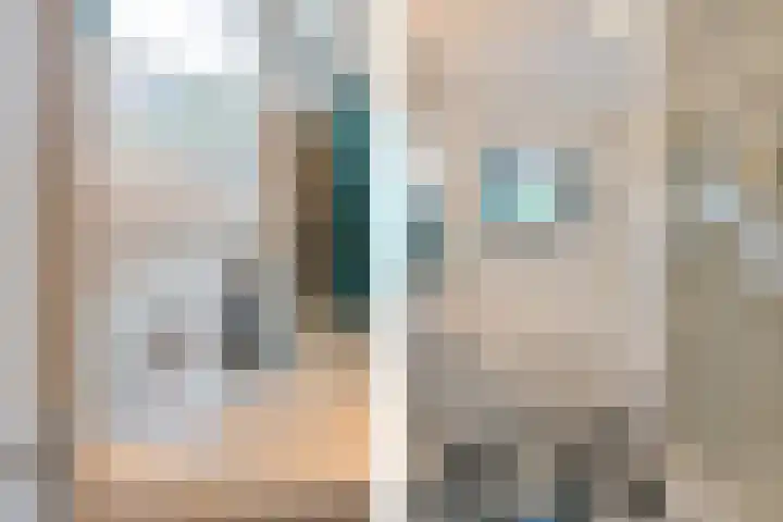 Sterappelhof 38 Zoetermeer thumbnail 42