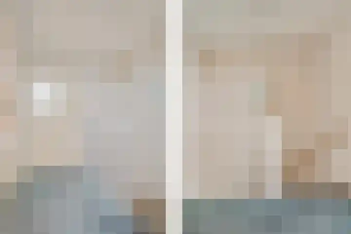 Sterappelhof 38 Zoetermeer thumbnail 43
