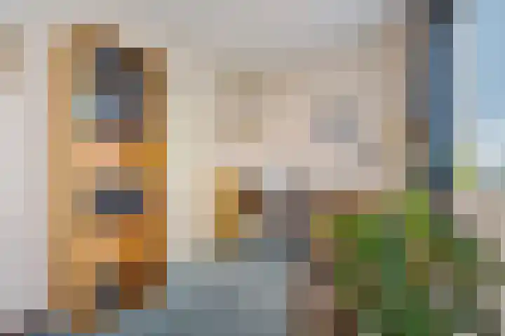Sterappelhof 38 Zoetermeer thumbnail 49