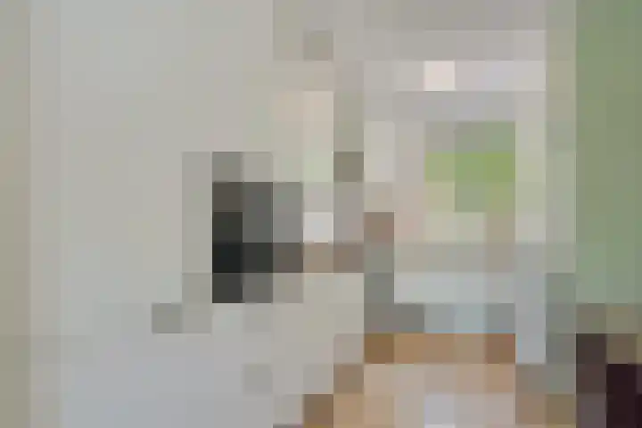 Sterappelhof 38 Zoetermeer thumbnail 5