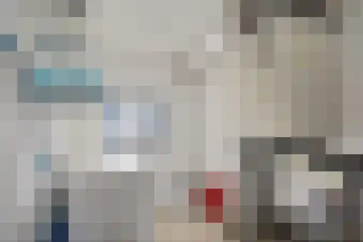 Sterappelhof 38 Zoetermeer thumbnail 50