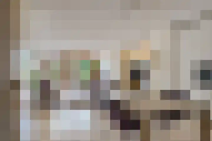 Sterappelhof 38 Zoetermeer thumbnail 9