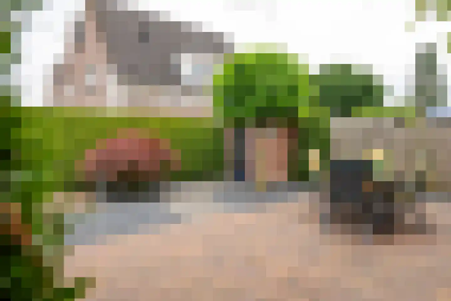Sterappelhof 40 Maurik thumbnail 4