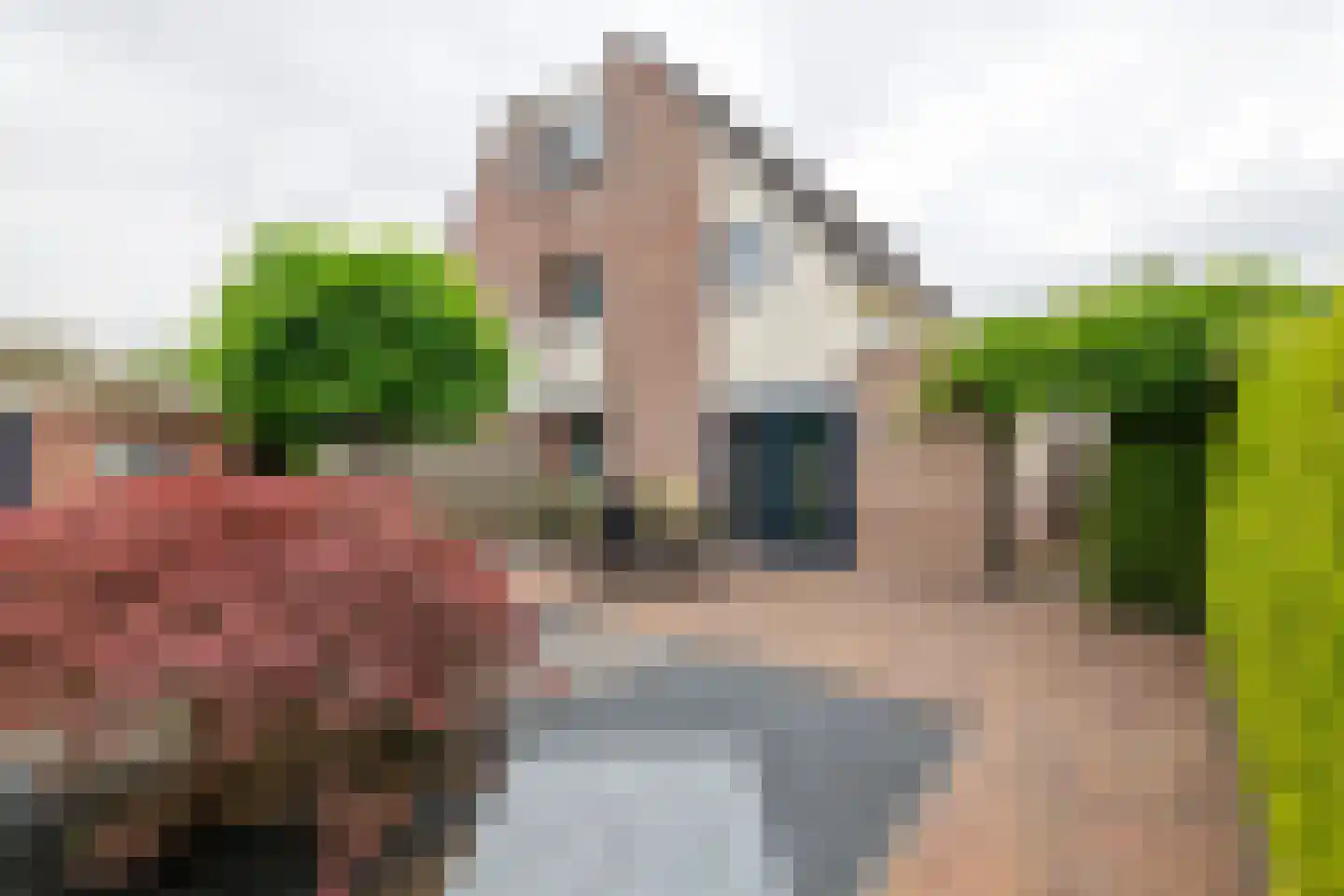 Sterappelhof 40 Maurik thumbnail 40