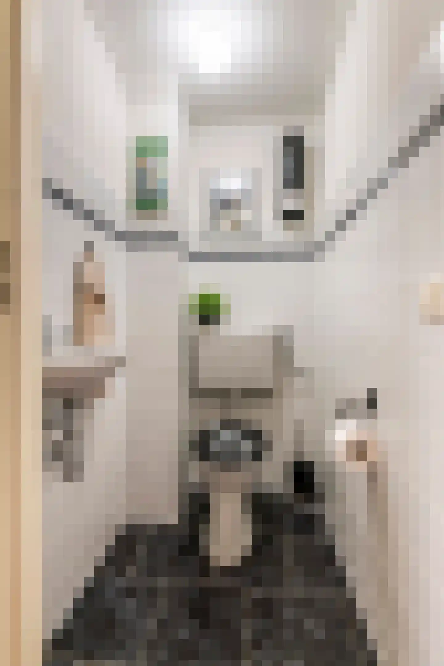 Sterappelhof 40 Maurik thumbnail 7