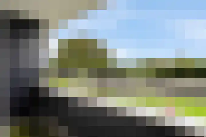Sterappellaan 17 Zeewolde thumbnail 33