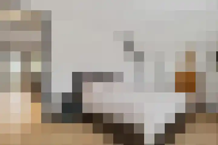 Sterappellaan 17 Zeewolde thumbnail 36