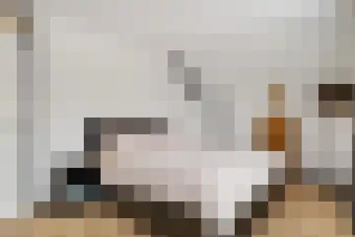 Sterappellaan 17 Zeewolde thumbnail 37