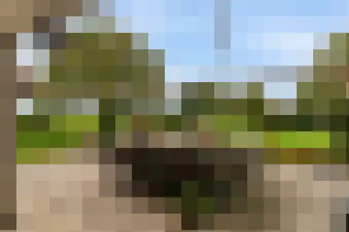 Sterappellaan 17 Zeewolde thumbnail 47