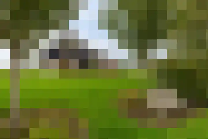 Sterappellaan 17 Zeewolde thumbnail 49
