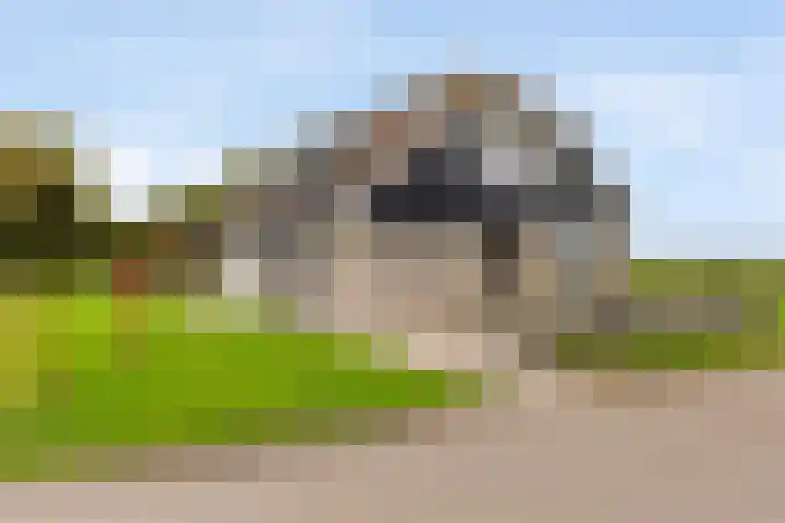 Sterappellaan 17 Zeewolde thumbnail 7