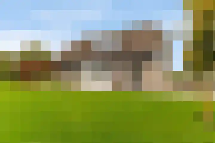 Sterappellaan 17 Zeewolde thumbnail 9