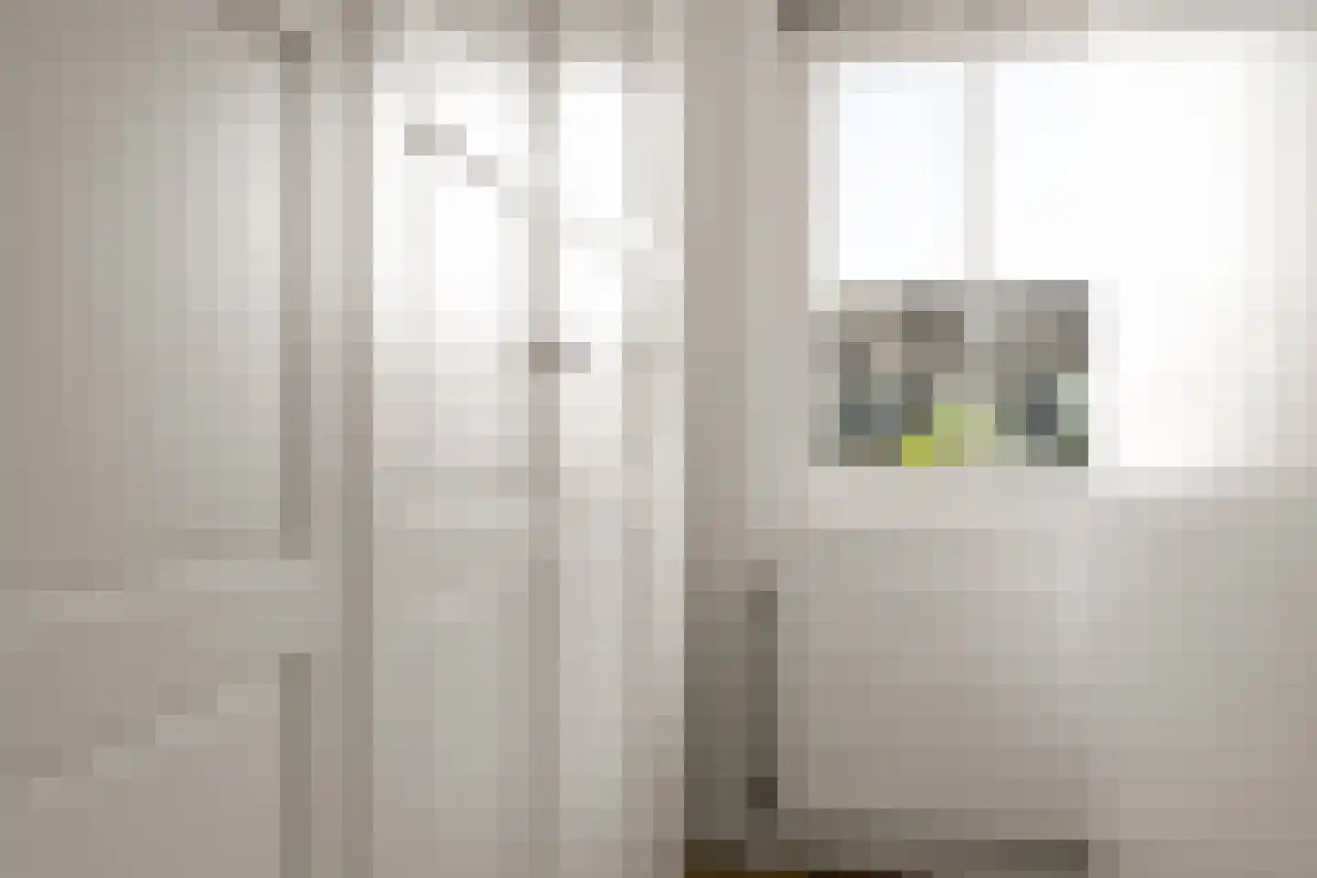 Sterappelpad 11 Hoef en Haag thumbnail 20