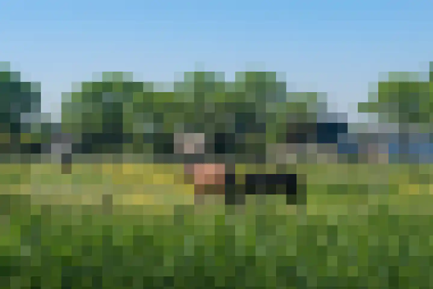 Sterappelpad 11 Hoef en Haag thumbnail 51